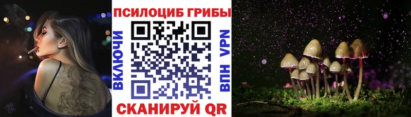 Псилоцибиновые грибы Psilocybe закладки Таштагол